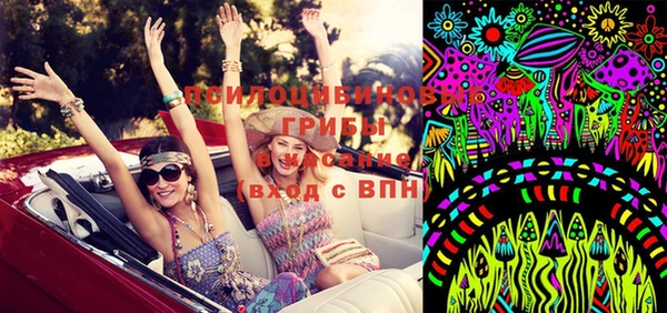 марки lsd Белокуриха