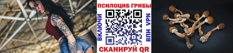 Псилоцибиновые грибы MAGIC MUSHROOMS  хочу   Отрадная 